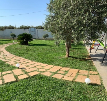 immagine 14 di Movimentazione Terra