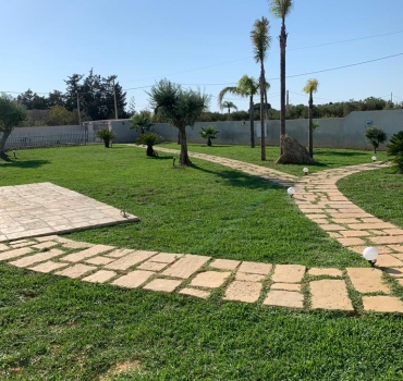 immagine 15 di Movimentazione Terra