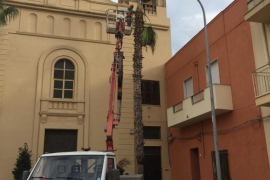 immagine 11 di Noleggio Gru e Macchinari per lavoro Edili
