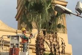 immagine 12 di Noleggio Gru e Macchinari per lavoro Edili